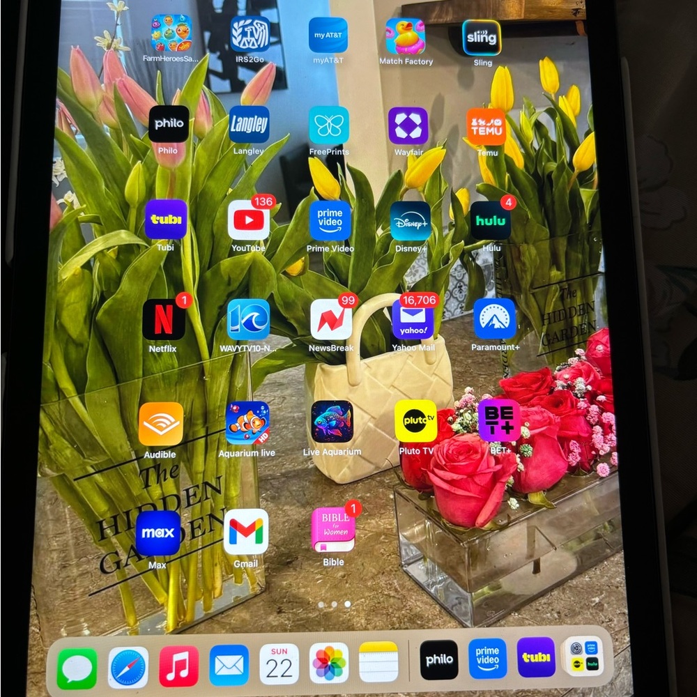 iPad 9th generation
